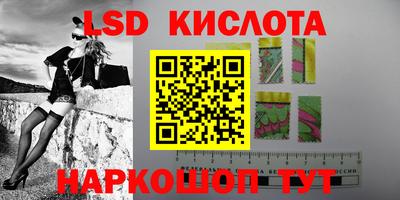 мяу мяу мука Краснознаменск