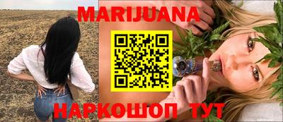 гидра Краснодар
