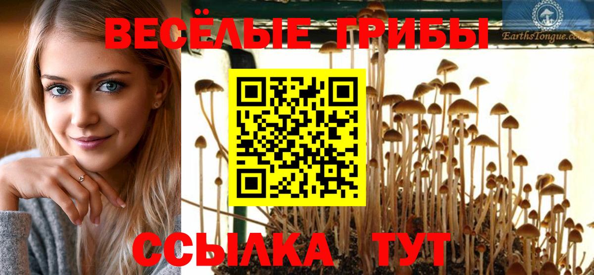 Псилоцибиновые грибы GOLDEN TEACHER Киреевск