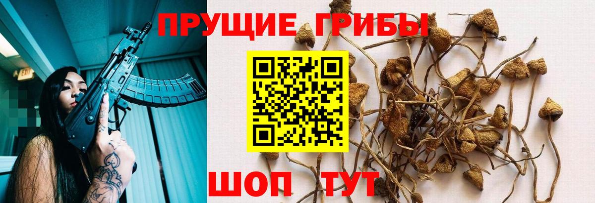 Псилоцибиновые грибы ЛСД  Вход с VPN  Киреевск 